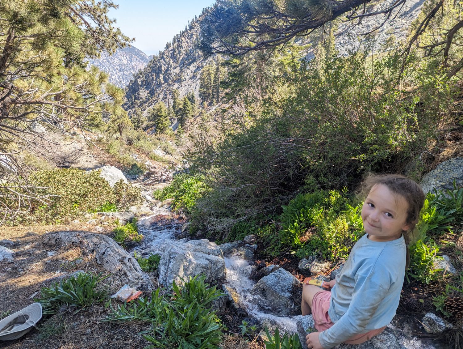 Cold water in Icehouse Canyon