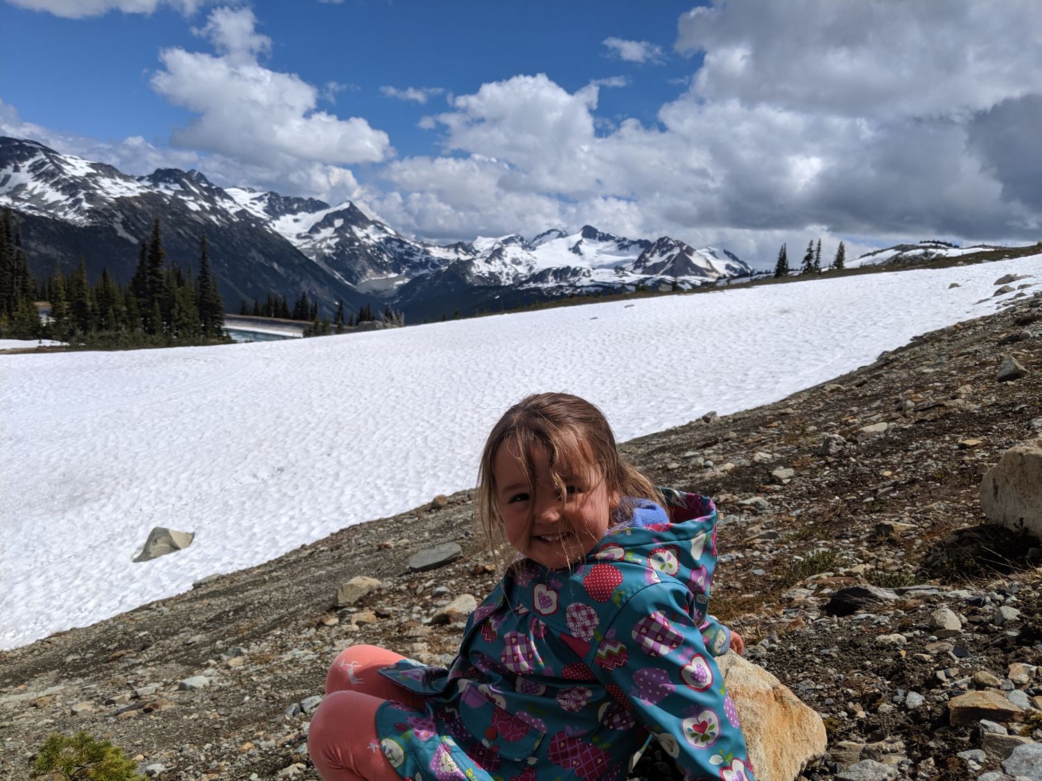Snow in June, high in the alpine